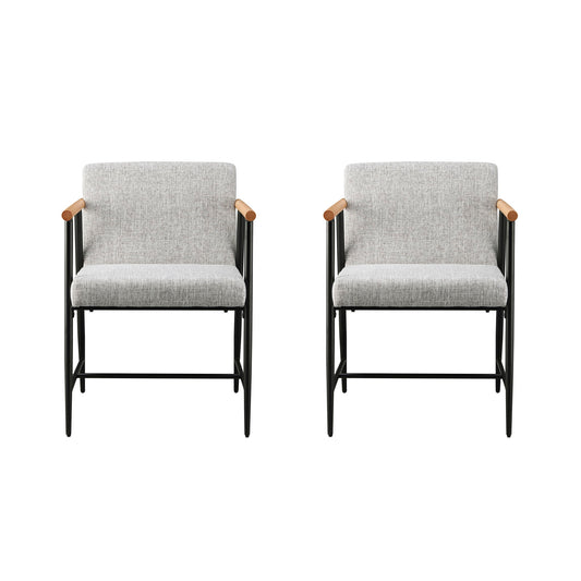 Modern Dining Chair With Iron Frame (Set of 2)